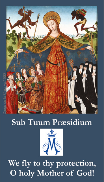 Sub Tuum Praesidium Prayer Card (ENGLISH & LATIN)